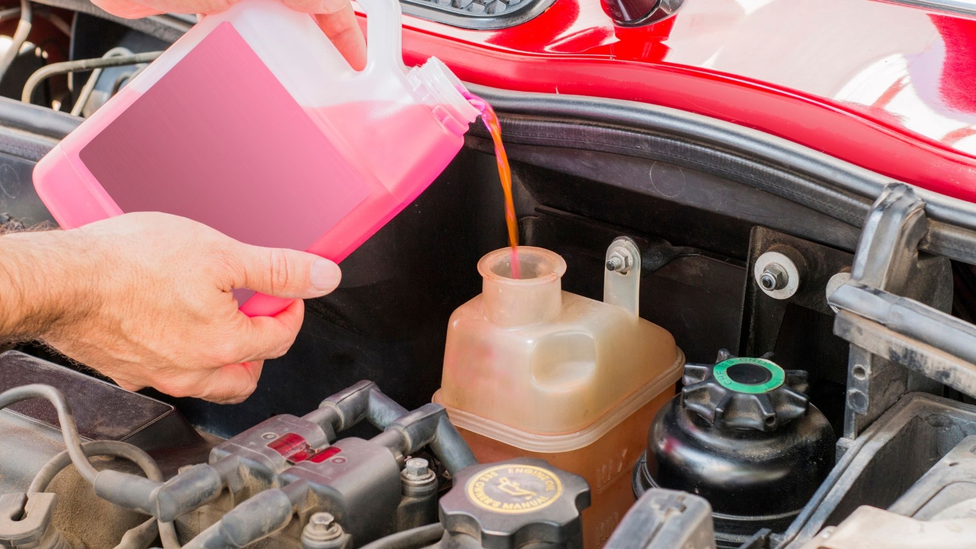concentrate coolant in car